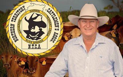 ‘Diverse and modern’: NT Cattlemen’s Association attempts to distance itself from Connolly’s remarks