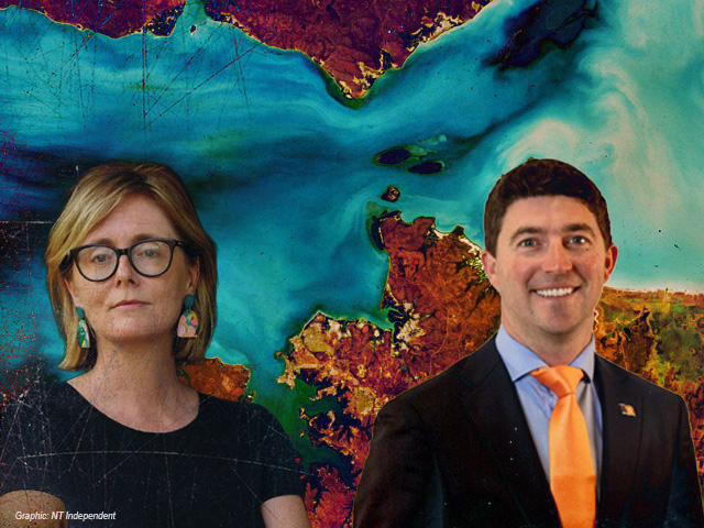 Darwin Harbour rivals Ningaloo Reef report finds as concerns about Territory Coordinator powers raised