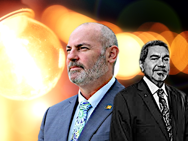 Councils left in the dark on power pricing as services put at risk: LGANT