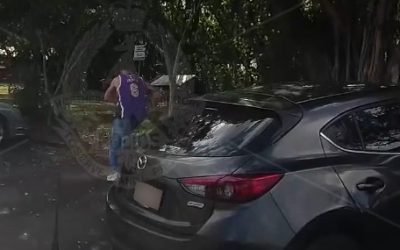 Manhunt for court runner ends with dog squad takedown, eight others also arrested