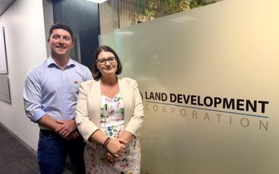 Minister takes control of Land Development Corporation as board disappears