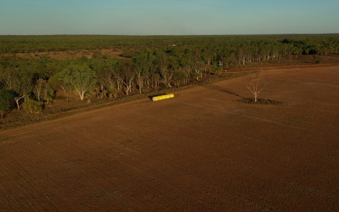 Court denies injunction to stop land clearing at Claravale