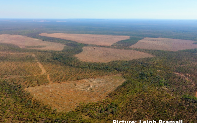 Traditional owners challenge Environment Minister over Claravale clearing