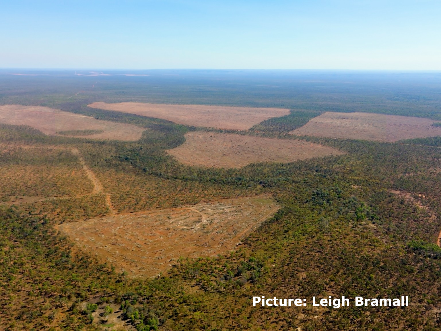 Claravale land clearing – Leigh Bramall 43
