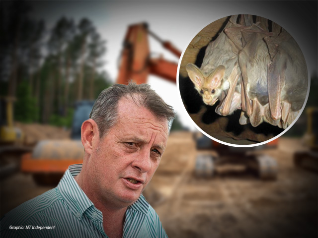 Clearing approval granted after company dismissed threatened species survey advice