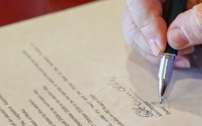Mulka by-election date set
