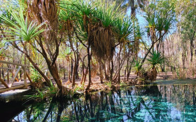 Opinion: Regressive changes to water laws could undermine Indigenous rights
